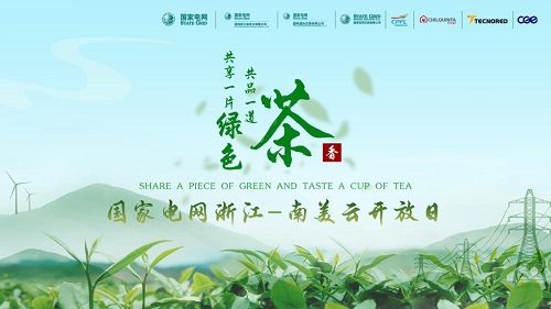 国家电网举办浙江-南美云开放日活动